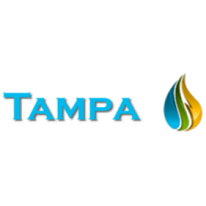Water Mold Fire Restoration of Tampa 1