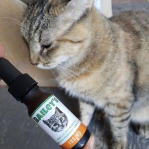 Bailey's CBD For Pets 4