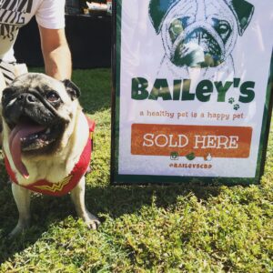 Bailey's CBD For Pets 7