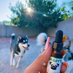 Bailey's CBD For Pets 1