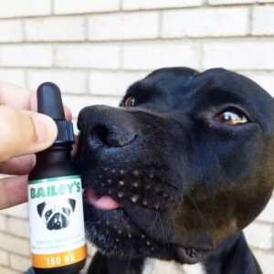 Bailey's CBD For Pets 5