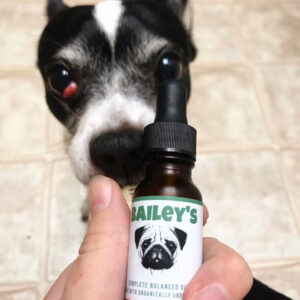 Bailey's CBD For Pets 6