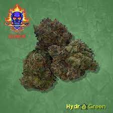 Hydro Green Shop 3