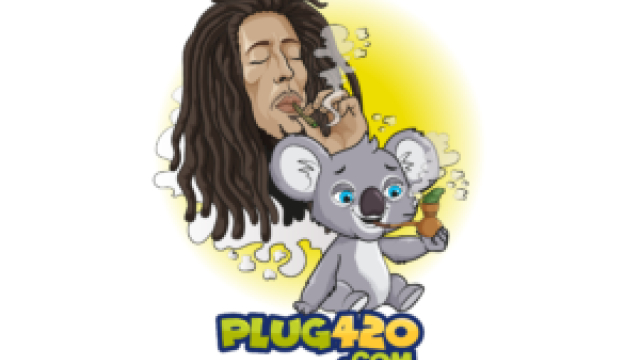 Custom Get Your Picture with The Koala Plug