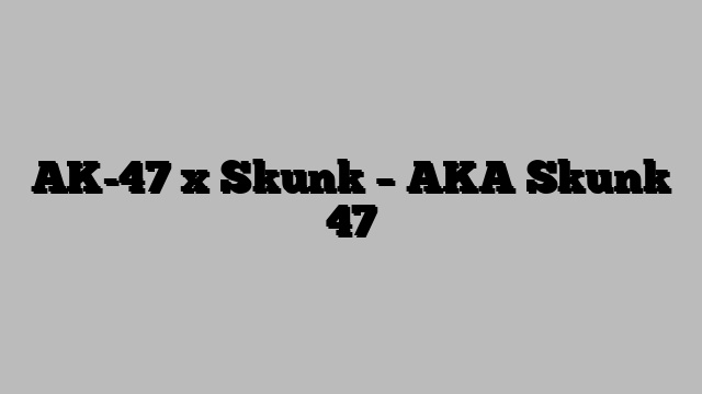 AK-47 x Skunk – AKA Skunk 47