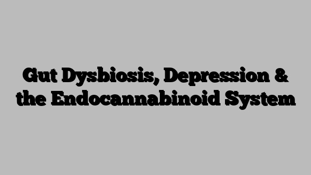 Gut Dysbiosis, Depression & the Endocannabinoid System